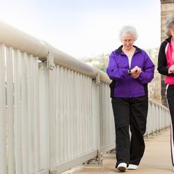 spierverlies, spierverlies veenendaal, spierverlies duiven spieren, verlies spiermassa, spierkracht, verminderde spierkracht, spieropbouw, sarcopenie, bewegen fysio, bewegen fysiotherapie, bewegen fysiotherapeut, beweging fysio, beweging fysiotherapie, beweging fysiotherapeut, valpartijen, moeilijk traplopen, moeite met uit stoel opstaan, moeite potje opendraaien 